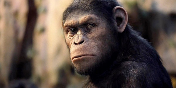 Rise of the Planet of the Apes claws its way to the top