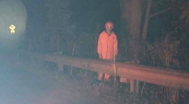 Photo of an actual creepy clown seen off the side of a highway in Illinois.