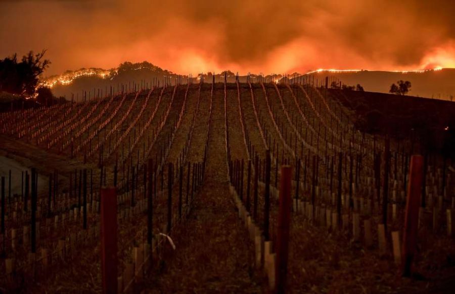 Napa fires cause havoc in Northern California