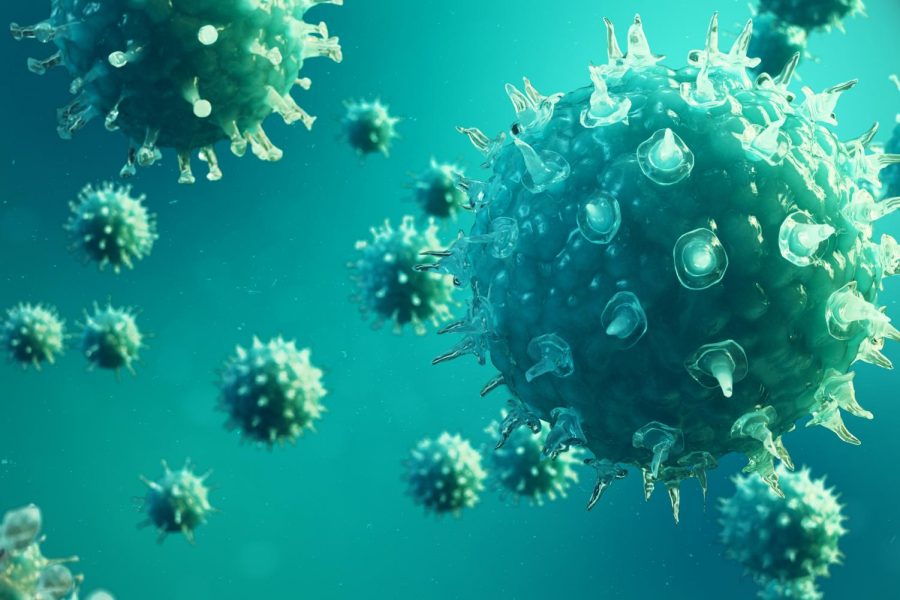 Coronavirus hits the US, closing schools and society