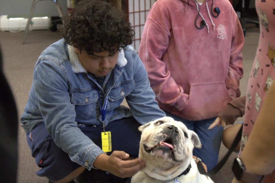 Students at CHS enjoyed spending time with Pal, a certified therapy dog.