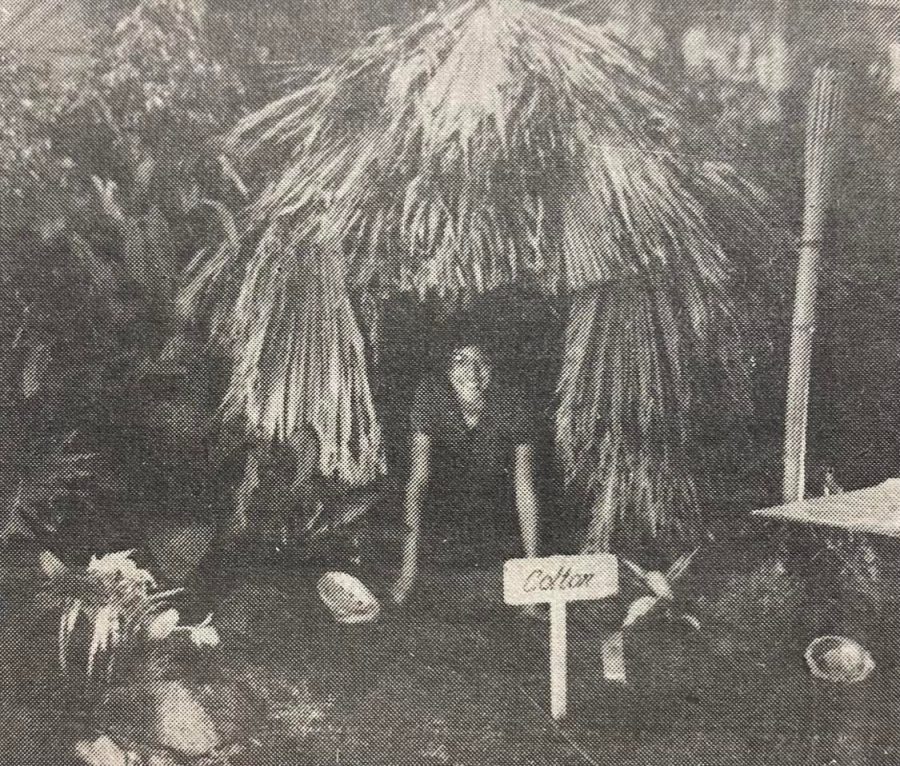 Frances Mendoza, FFA President in 1983, enjoys the first place Welcome to Polynesia exhibit.