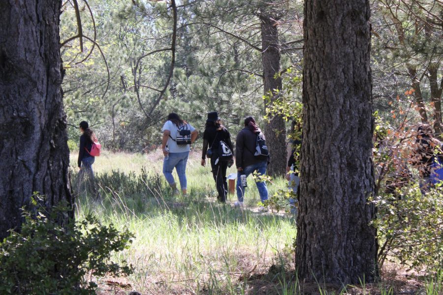 Group of CHS students on a nature walk at Skyland Ranch.