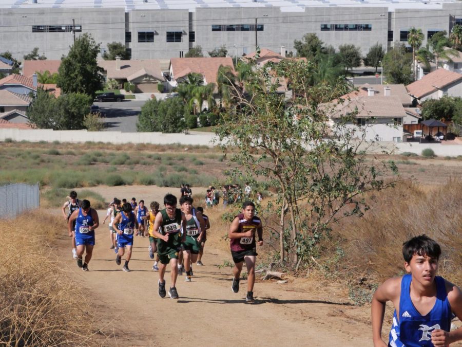 Coltons runners work their way up the hills at Martin Tudor Park for their first Cross-Country League Meet of the season.
