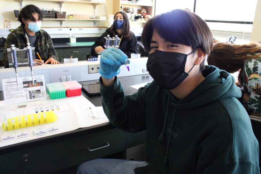Colton High students learn about endocrinology during a lab experiment at the San Diego Safari Park on Nov. 17.