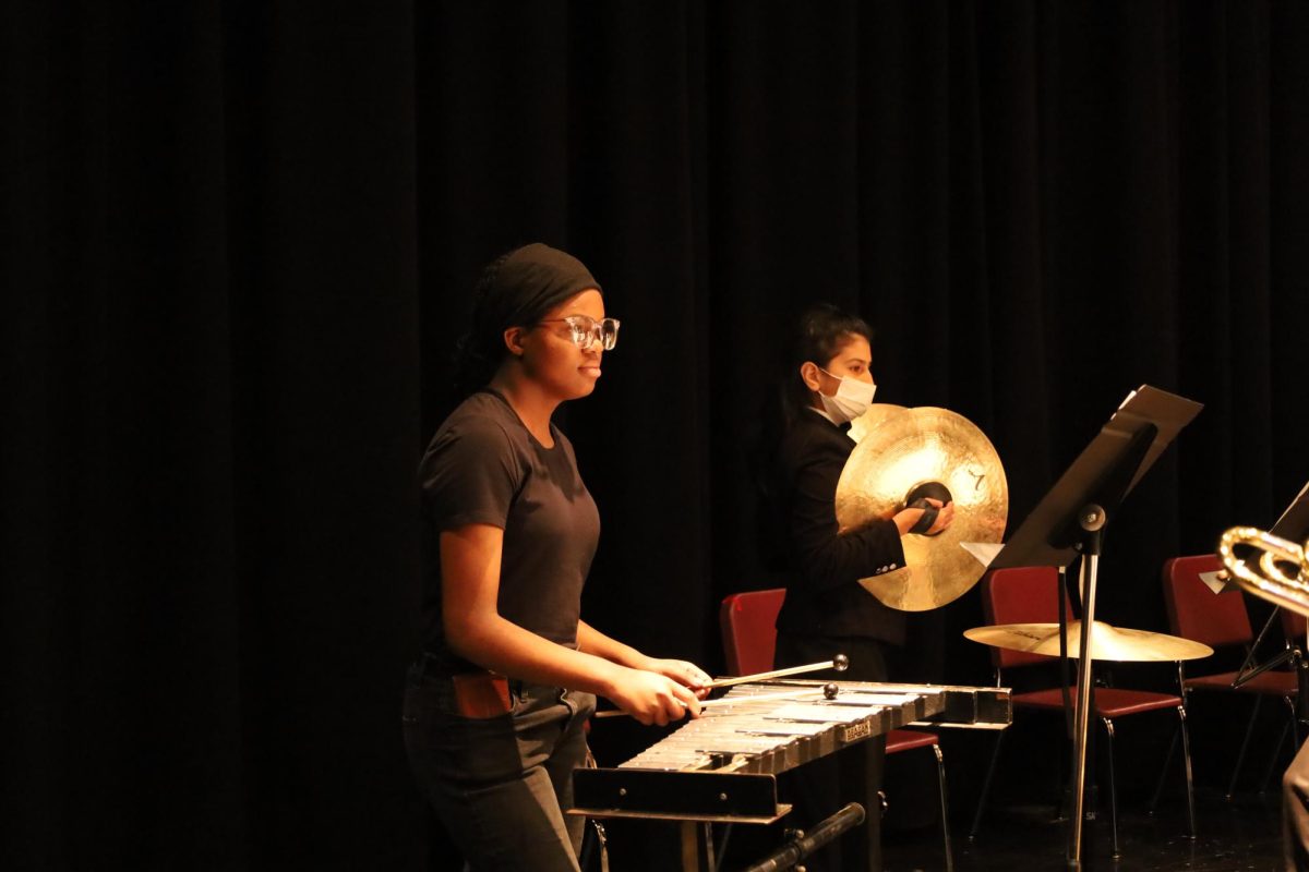 Percussionists NAME and NAME work together to add a special kind of instrumentation with their parts in Arctic Fire. 