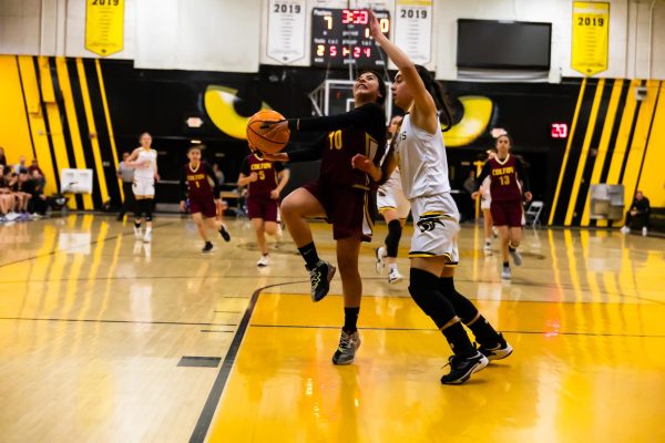 Savannah Govea had 10 points against Newbury Park as the Yellowjackets lost in round one of the CIF State Tournament to Newbury Park 59-35.