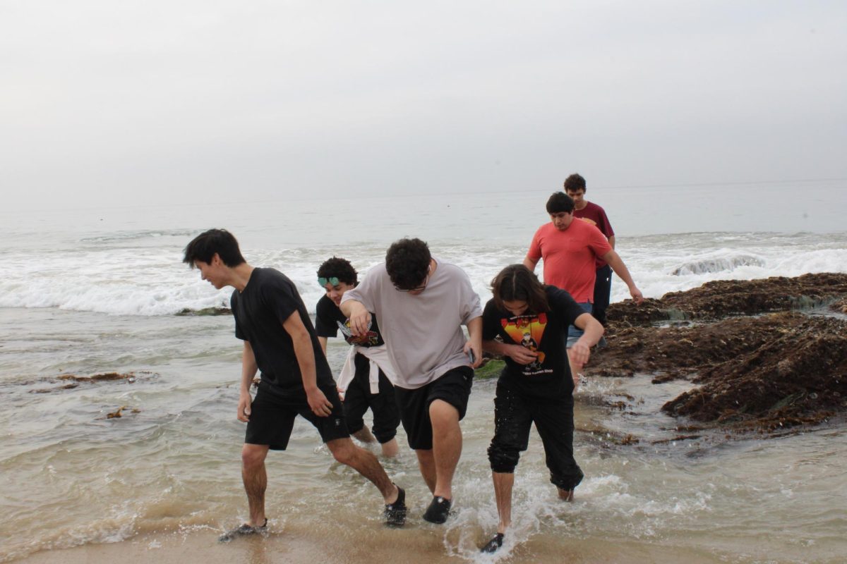Students+step+out+of+the+chilly+ocean+water+after+climbing+some+nearby+rocks+and+tide+pools.+