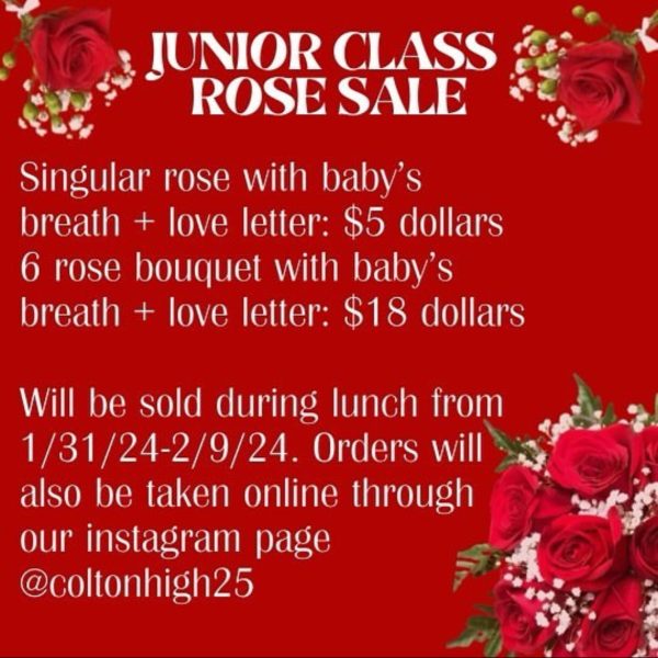 CHS Class of 2025 is holding a Rose Sale fundraiser for Valentines Day, ending this Friday, Feb. 9th. 